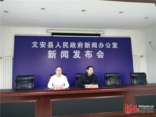 文安一中爆料新闻事件,揭秘校园事件背后的真相